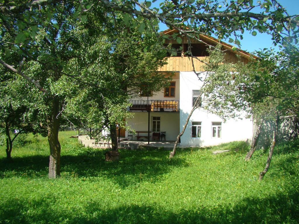 Guest House Tavaduri Местія Екстер'єр фото